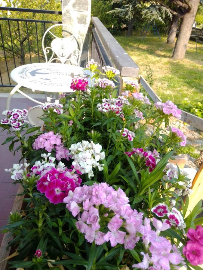 Casa T Bed And Breakfast & Home Restaurant Di Tacchino Simone Tagliolo Monferrato Ngoại thất bức ảnh